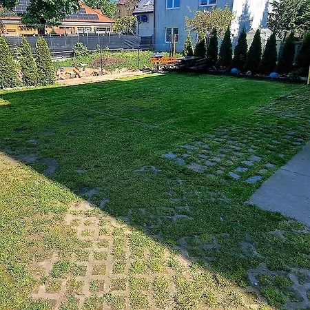 Puszek *